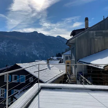 Grand Chalet D'exception Chalet Les Marécottes
