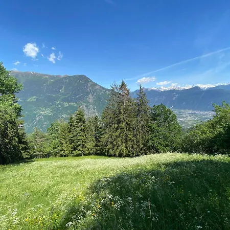 Grand Chalet D'exception
